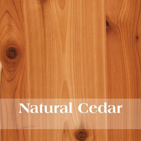 Fireside Lodge Cedar Futon Bed